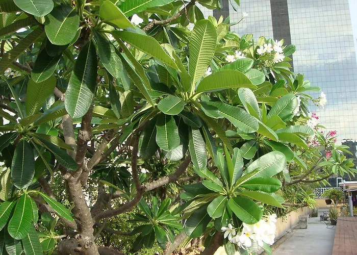 Hotel King Royal Garden